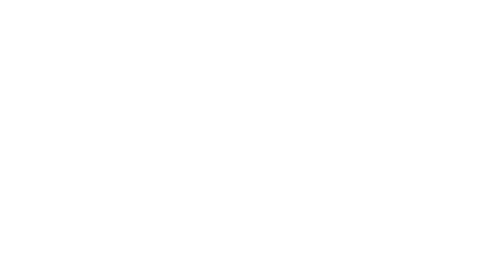 Flow Logo